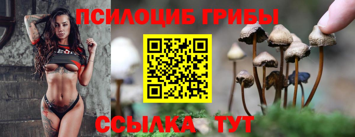 Псилоцибиновые грибы GOLDEN TEACHER Каменск-Шахтинский