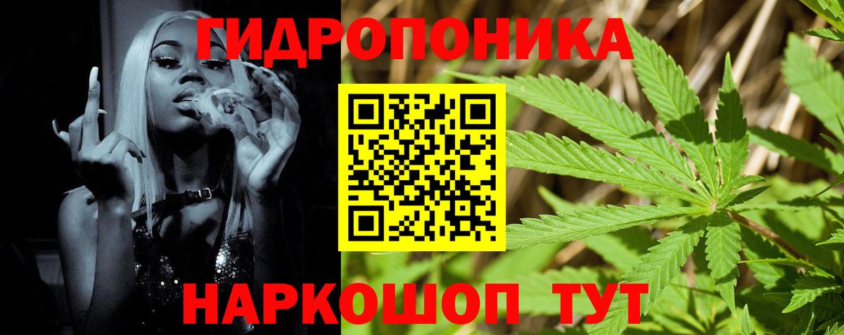 Бошки Шишки сатива Каменск-Шахтинский